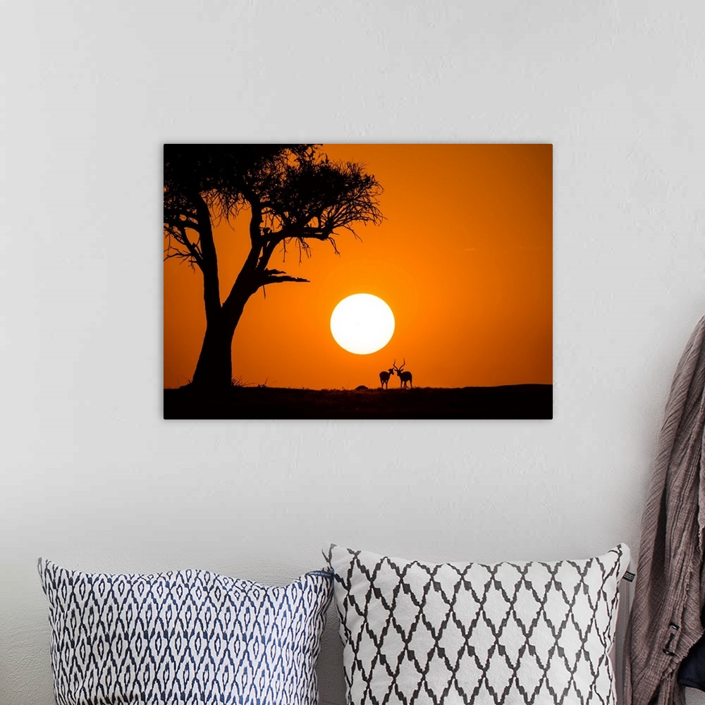 A bohemian room featuring African Sunset