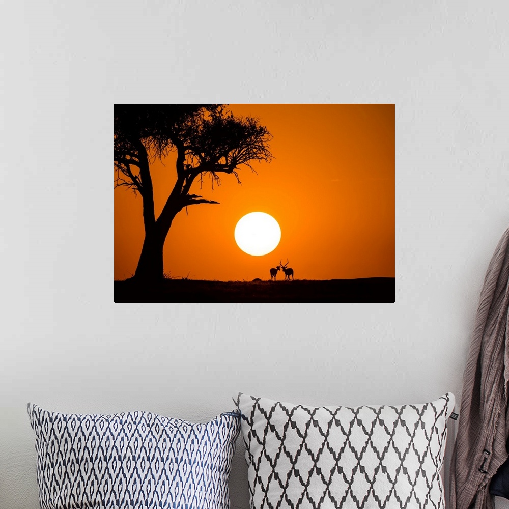 A bohemian room featuring African Sunset