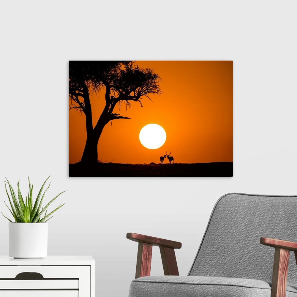 A modern room featuring African Sunset