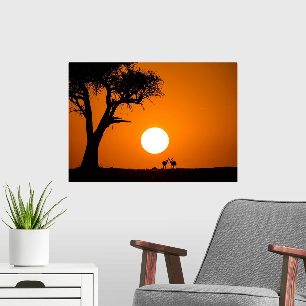 A modern room featuring African Sunset