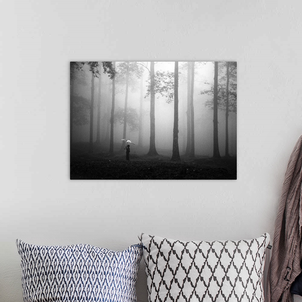 A bohemian room featuring A person holding an umbrella in a misty forest.