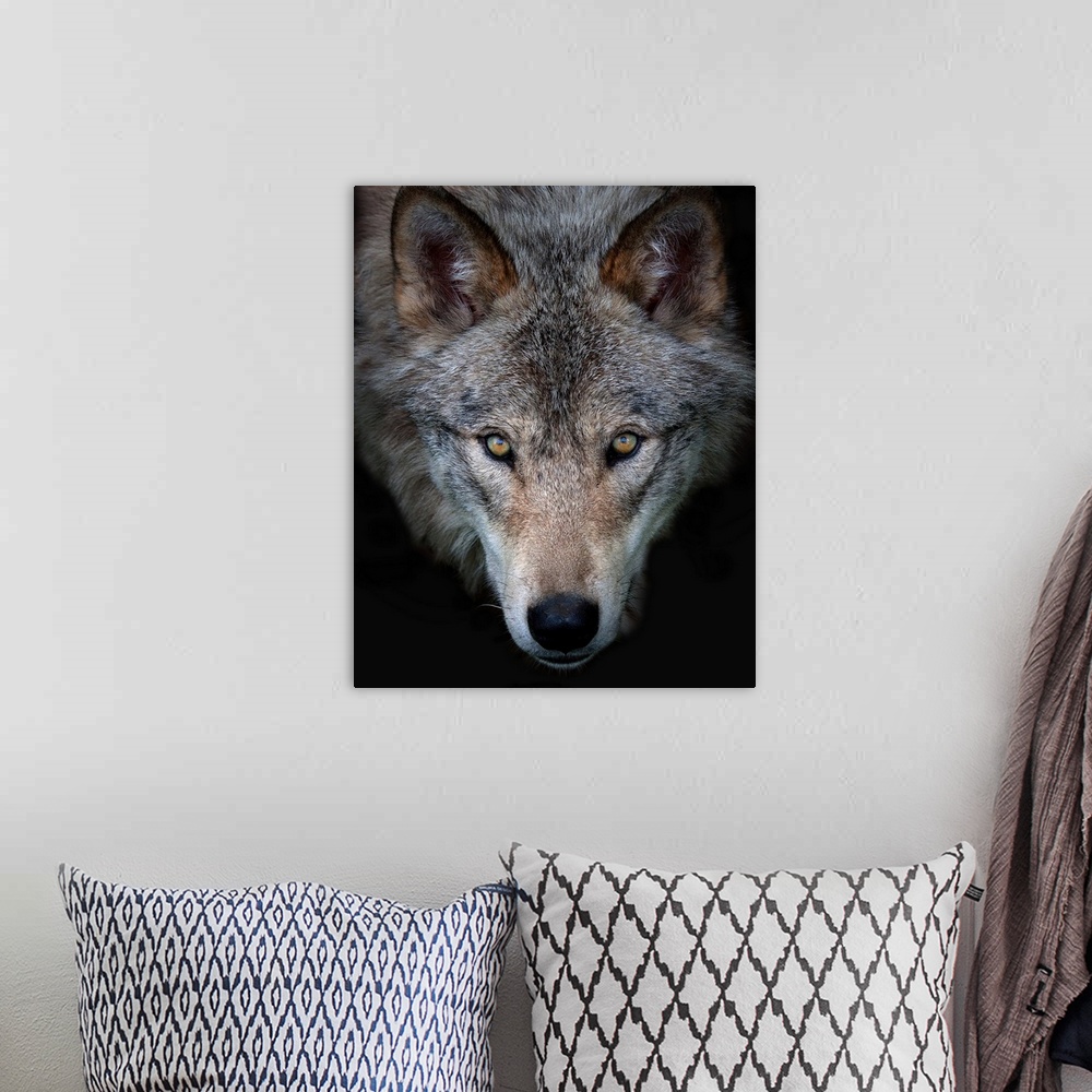 A bohemian room featuring All The Better To See You - Timber Wolf