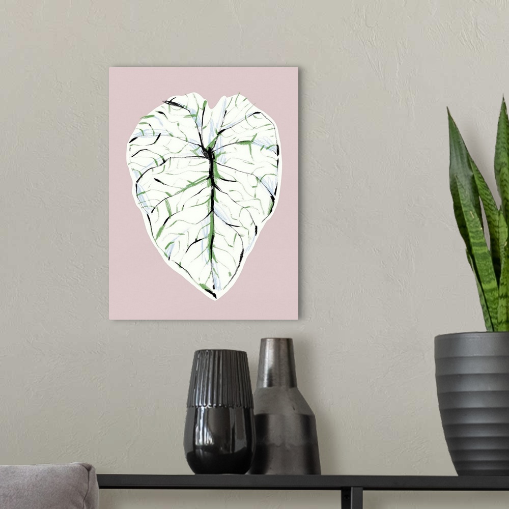 A modern room featuring Alocasia Melo Light