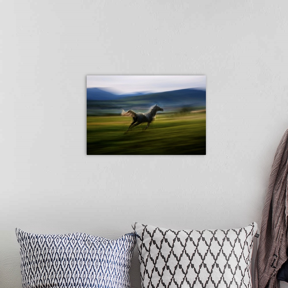 A bohemian room featuring Blurred motion image of a galloping horse in a meadow.