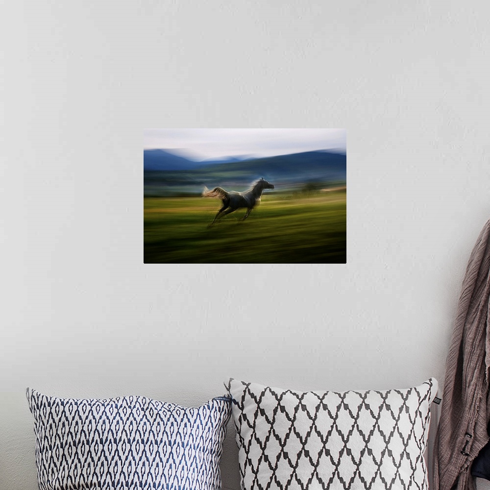 A bohemian room featuring Blurred motion image of a galloping horse in a meadow.