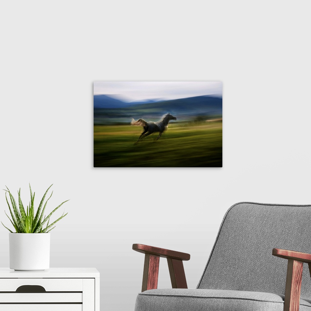 A modern room featuring Blurred motion image of a galloping horse in a meadow.