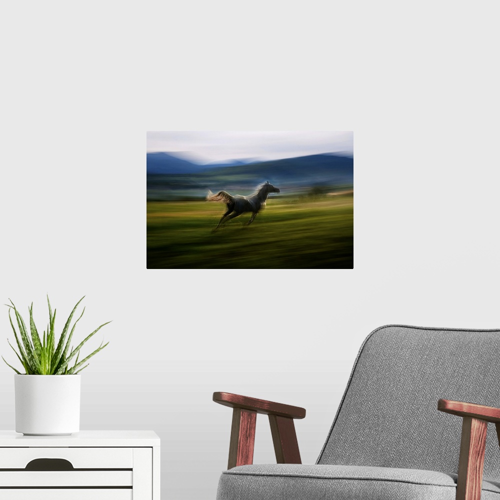 A modern room featuring Blurred motion image of a galloping horse in a meadow.