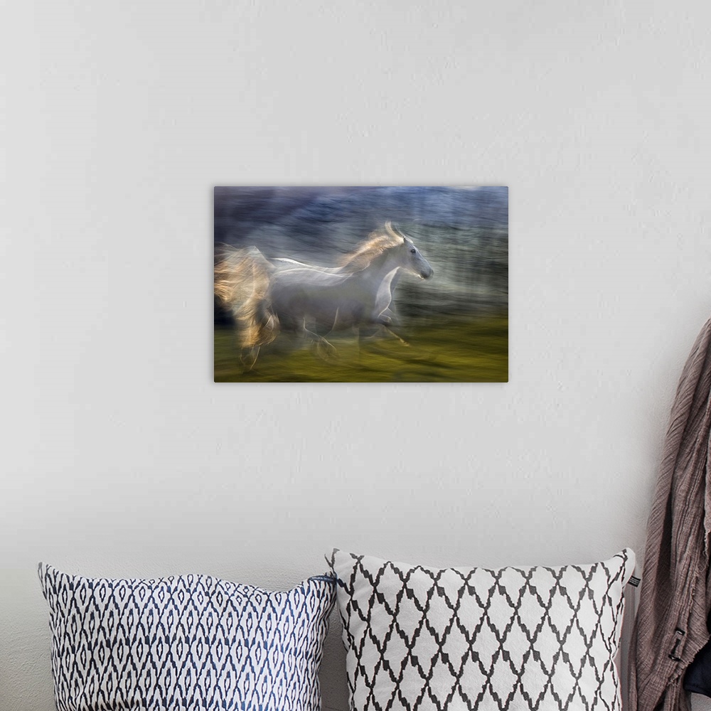 A bohemian room featuring Multiple exposure of a white horse galloping in a green field.