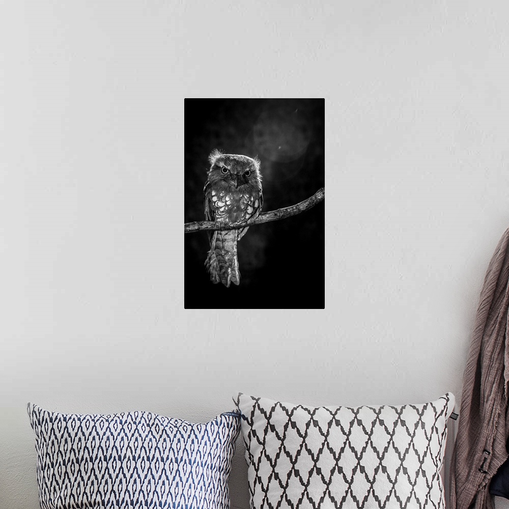 A bohemian room featuring A small owl perched on a branch.