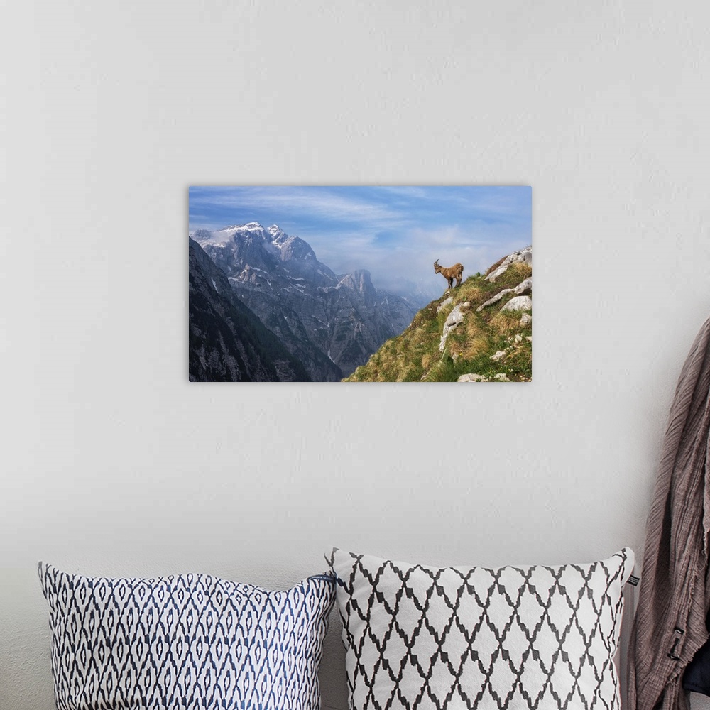 A bohemian room featuring Alpine Ibex In The Mountains