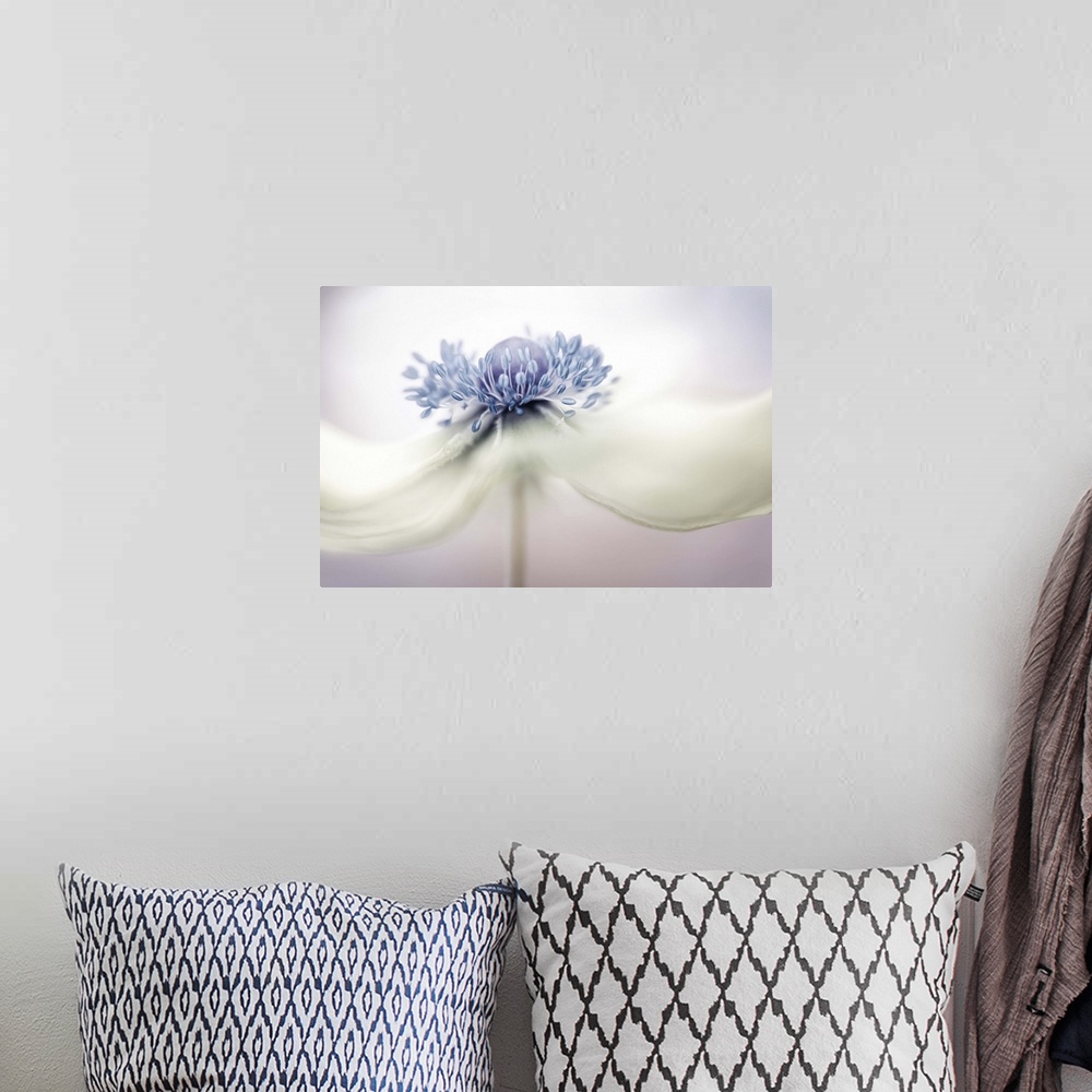 A bohemian room featuring Close up photo of the center of a white Anemone flower.