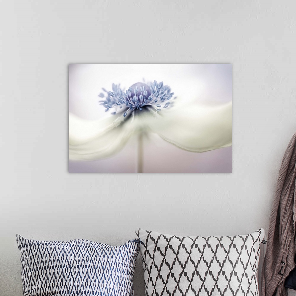 A bohemian room featuring Close up photo of the center of a white Anemone flower.