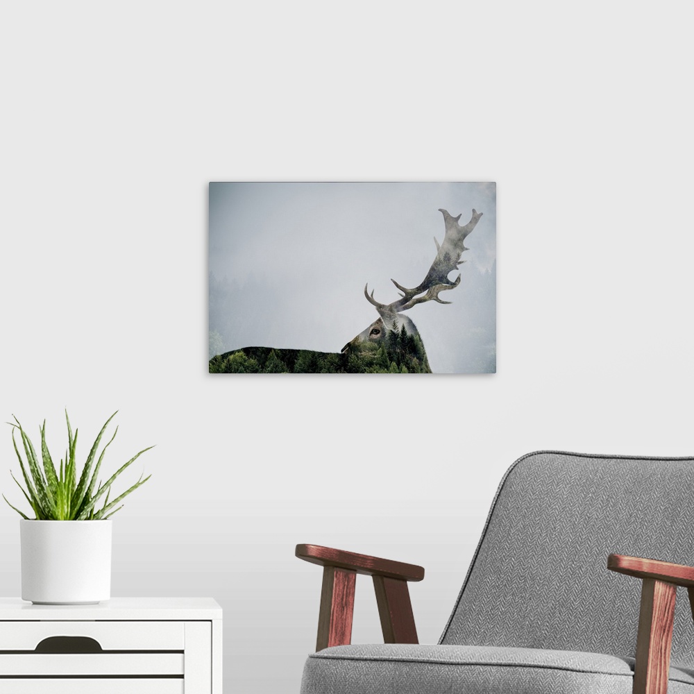 A modern room featuring Antler Double-Exposed