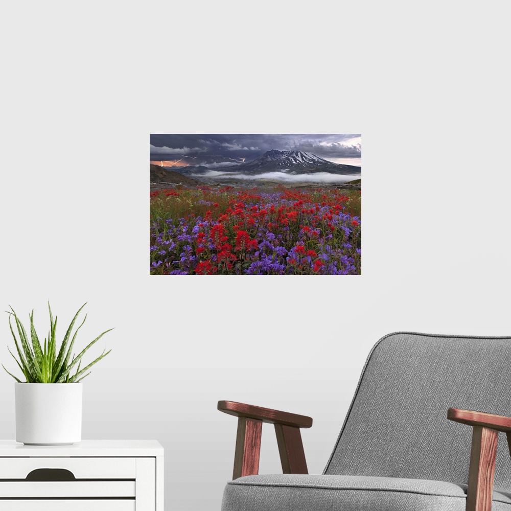 A modern room featuring A field of wildflowers at the base of Mount St. Helens, with lightning in the sky.