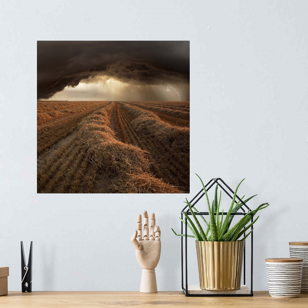 A bohemian room featuring Dark storm clouds with lightning over a tilled field of straw.