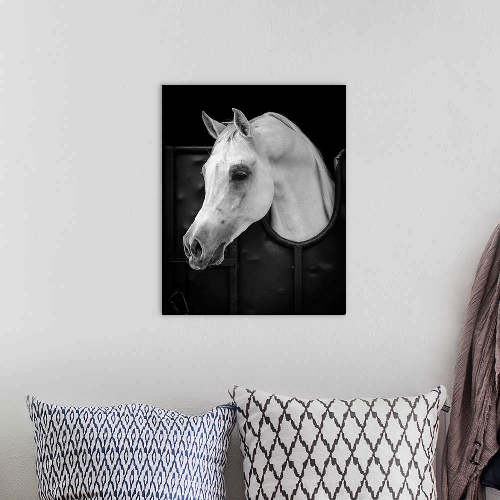 A bohemian room featuring Arabian Horse
