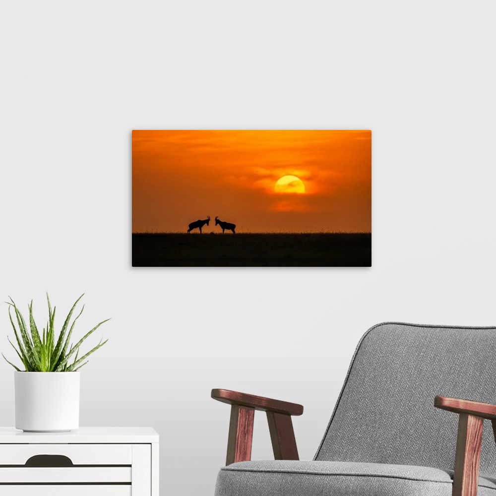A modern room featuring At The Sunset