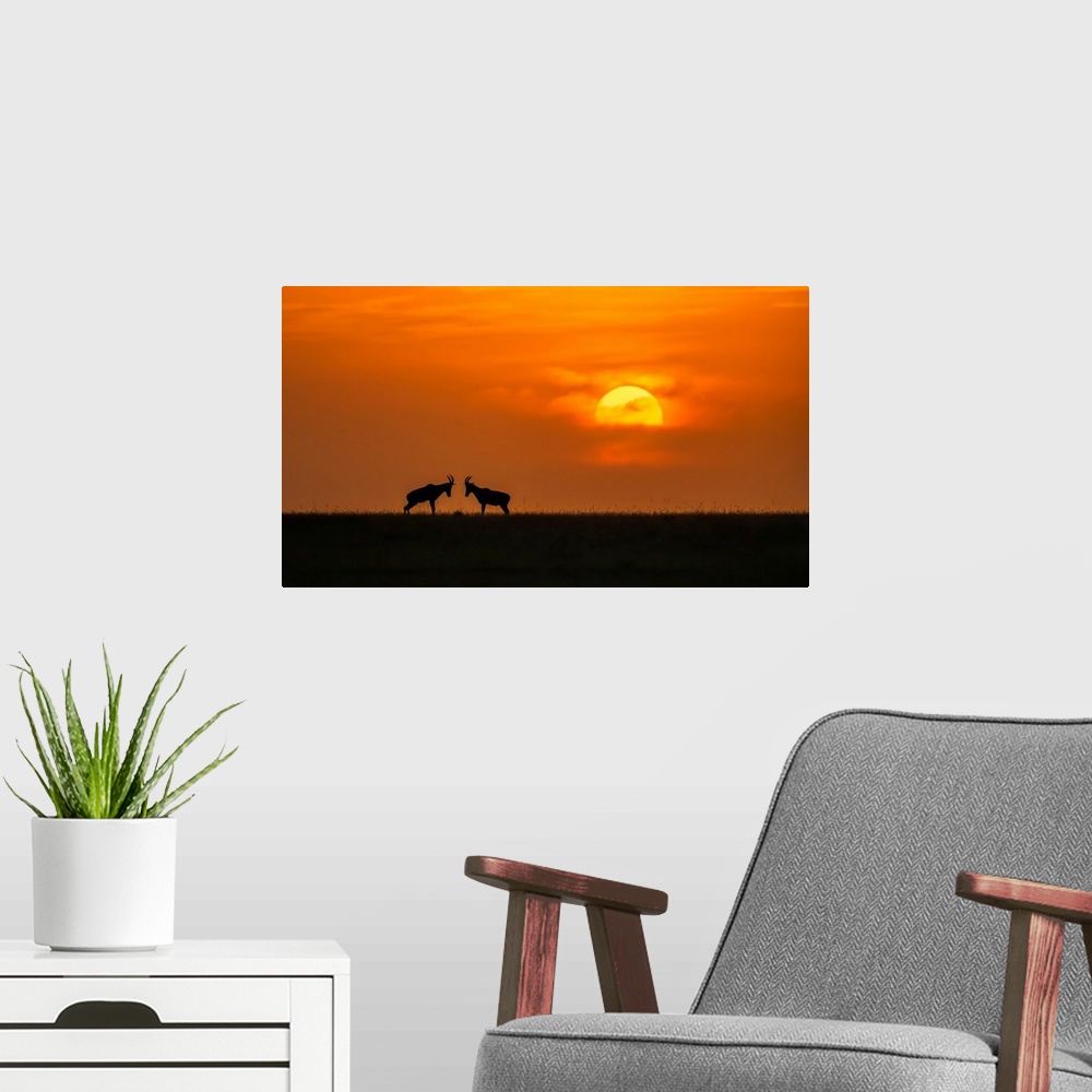 A modern room featuring At The Sunset