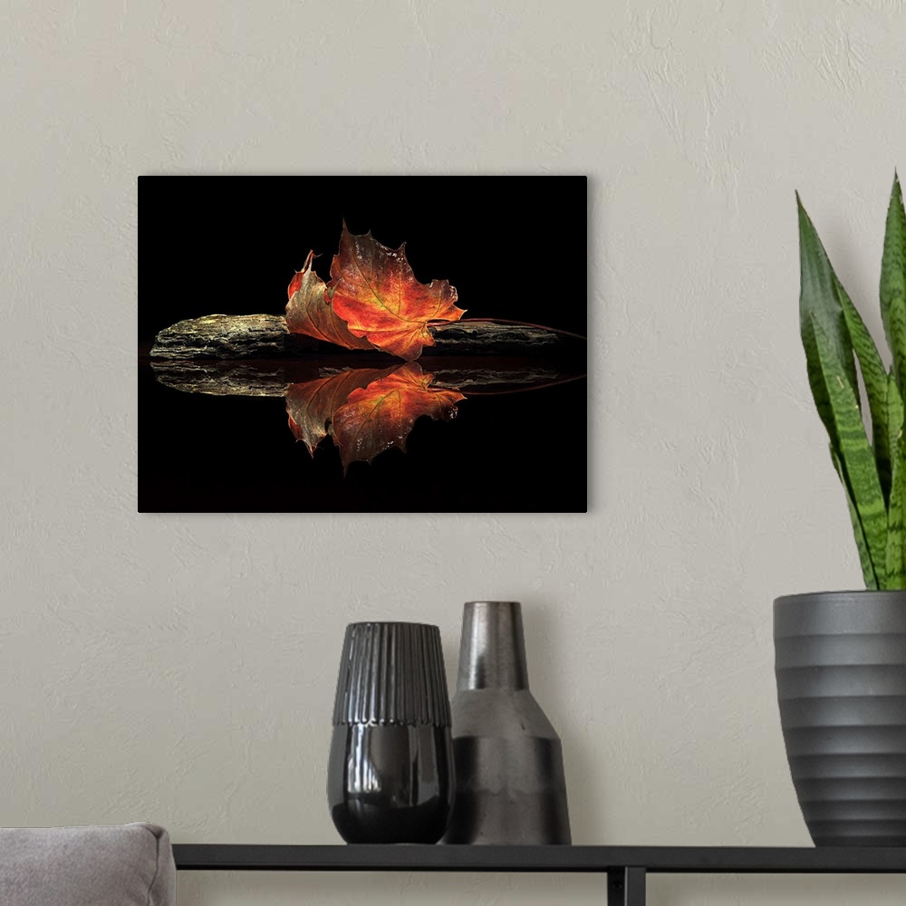 A modern room featuring A bright red leaf laying on a dark stone with a mirror reflection on the water.