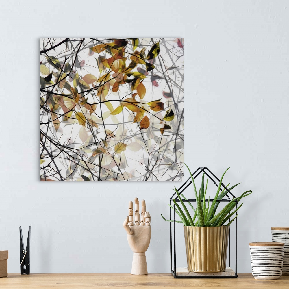 A bohemian room featuring Photo of branches with fall leaves, edited for a smooth effect.