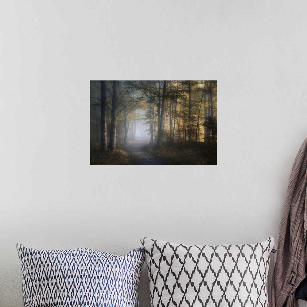 A bohemian room featuring A path through a misty forest in the fall.