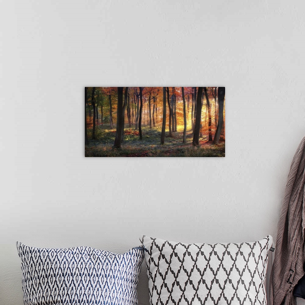A bohemian room featuring An autumn forest lit ablaze in the light of the sunrise.