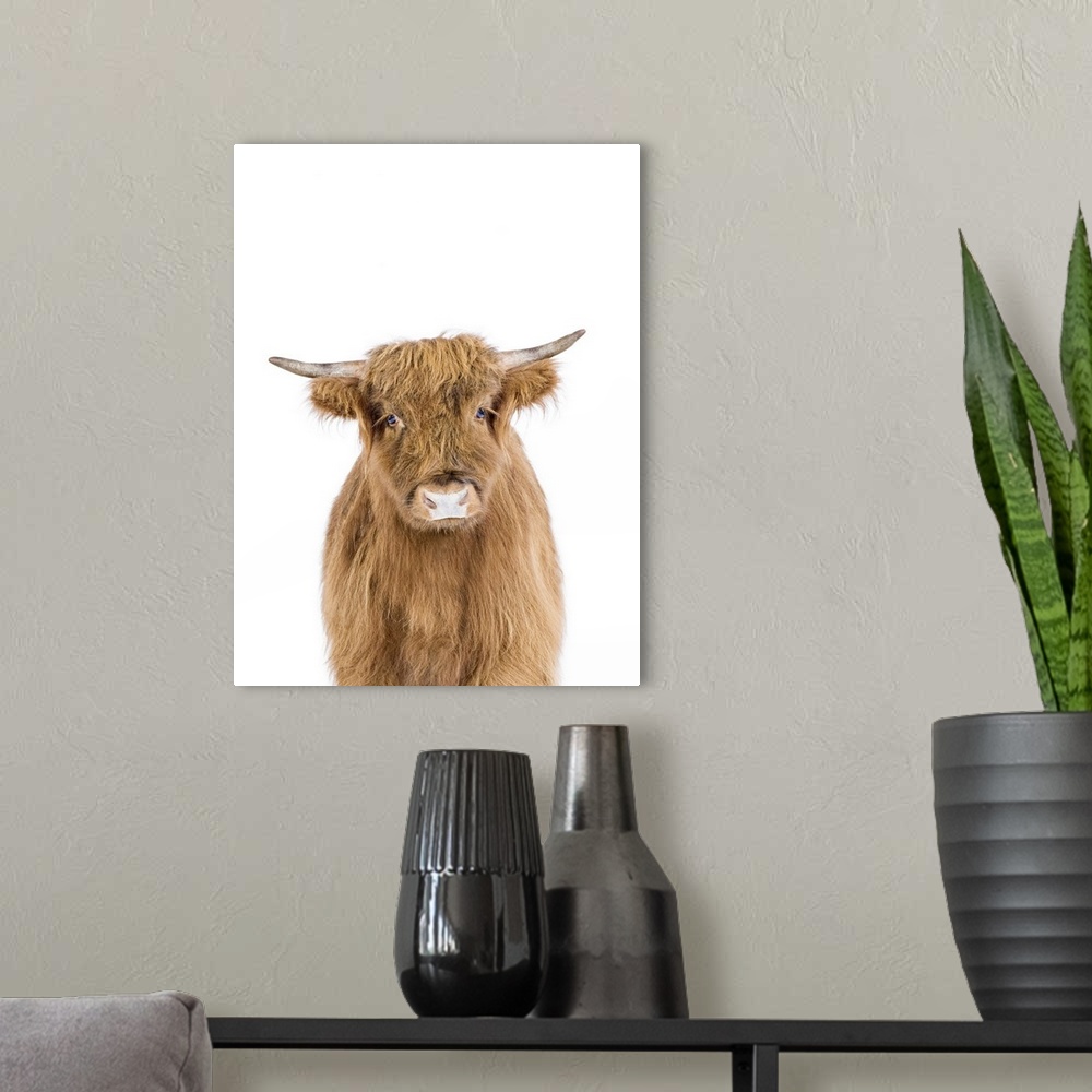 A modern room featuring Baby Cow
