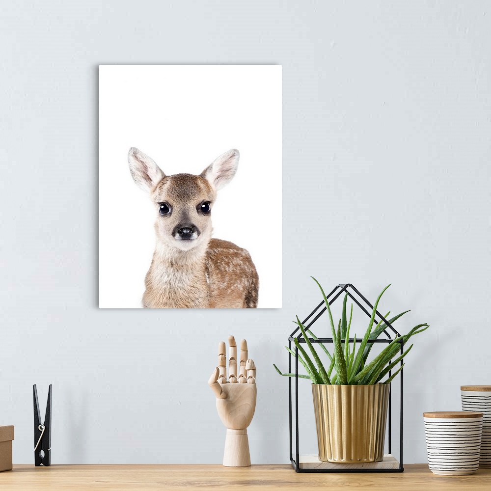 A bohemian room featuring Baby Deer