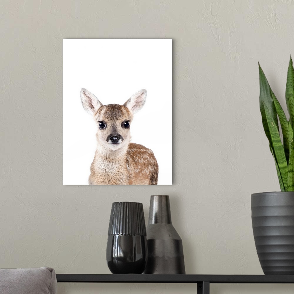 A modern room featuring Baby Deer