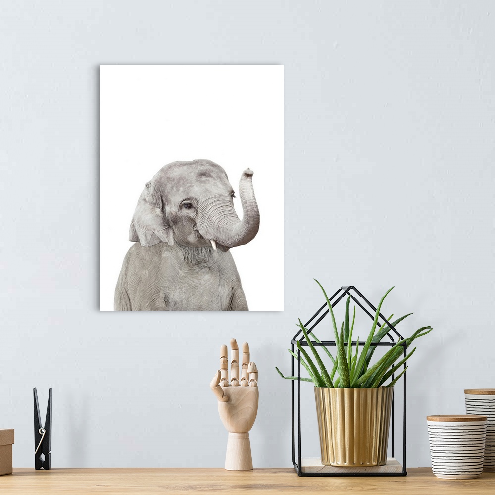 A bohemian room featuring Baby Elephant