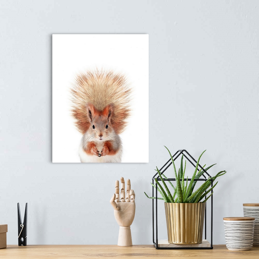 A bohemian room featuring Baby Squirrel