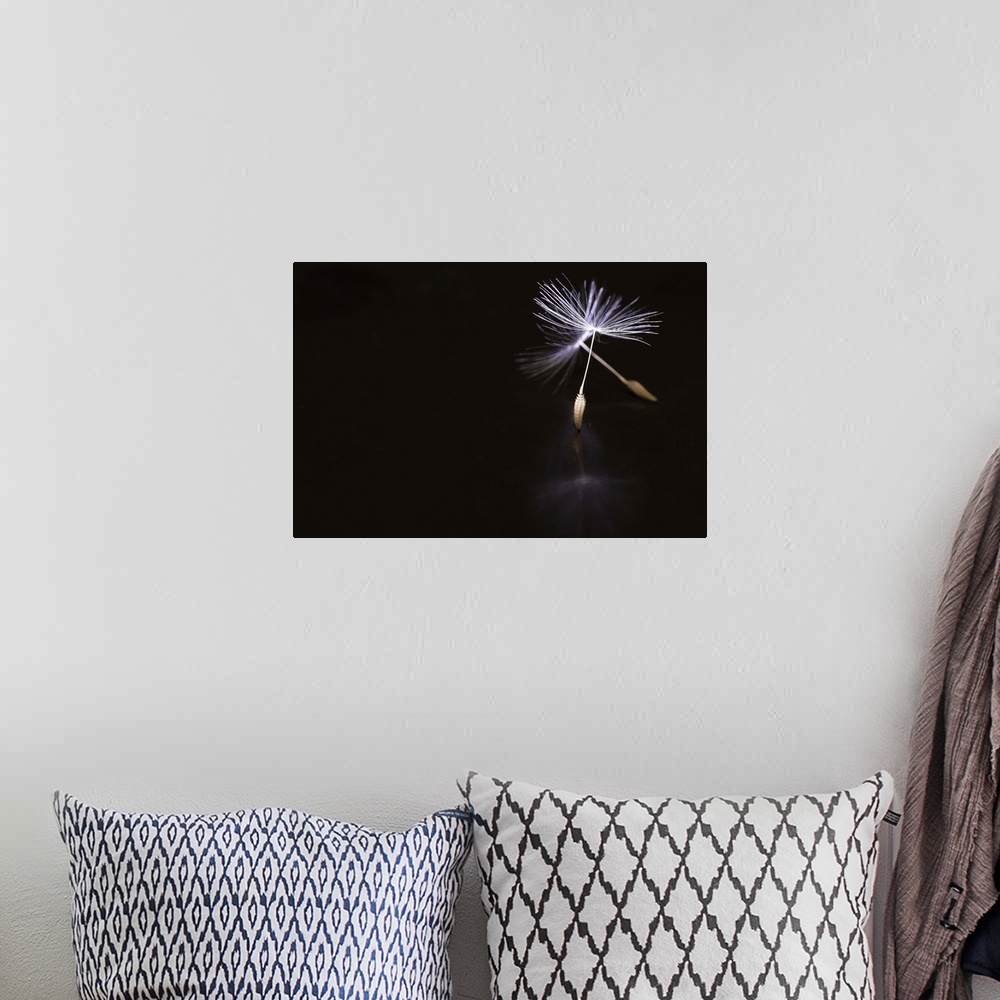 A bohemian room featuring Conceptual image of a dandelion seed with stems resembling ballet pointe shoes.