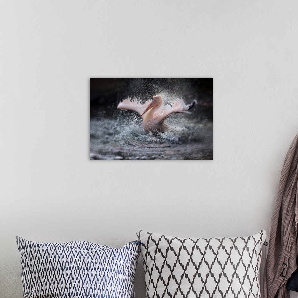 A bohemian room featuring A rosy pelican splashing in the water.