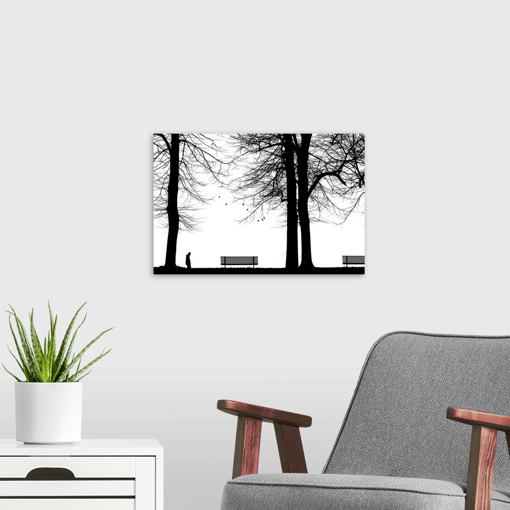 A modern room featuring A park scene with trees benches and a person cast in silhouette.