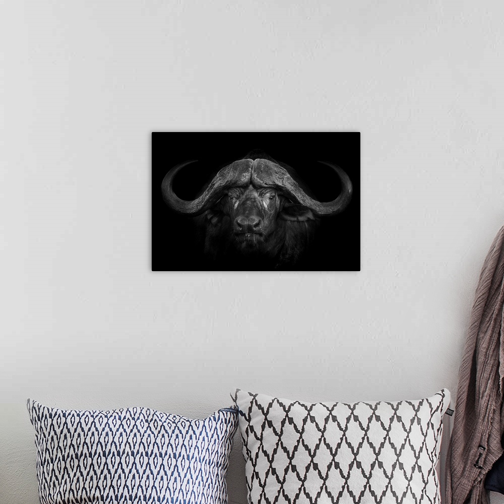 A bohemian room featuring A portrait of a male Cape Buffalo captured in the Greater Kruger area in South Africa whilw hosti...