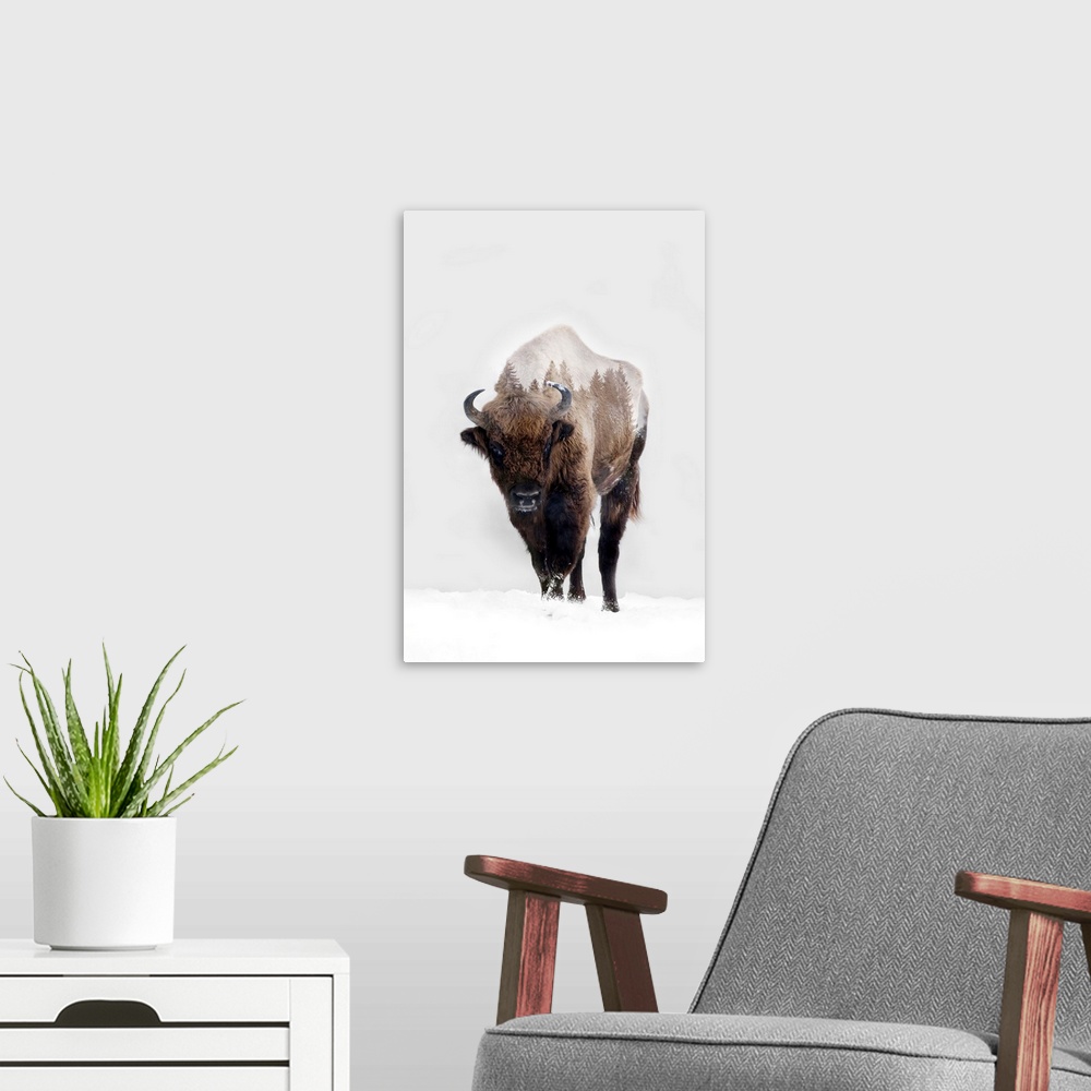 A modern room featuring Bison In Winter