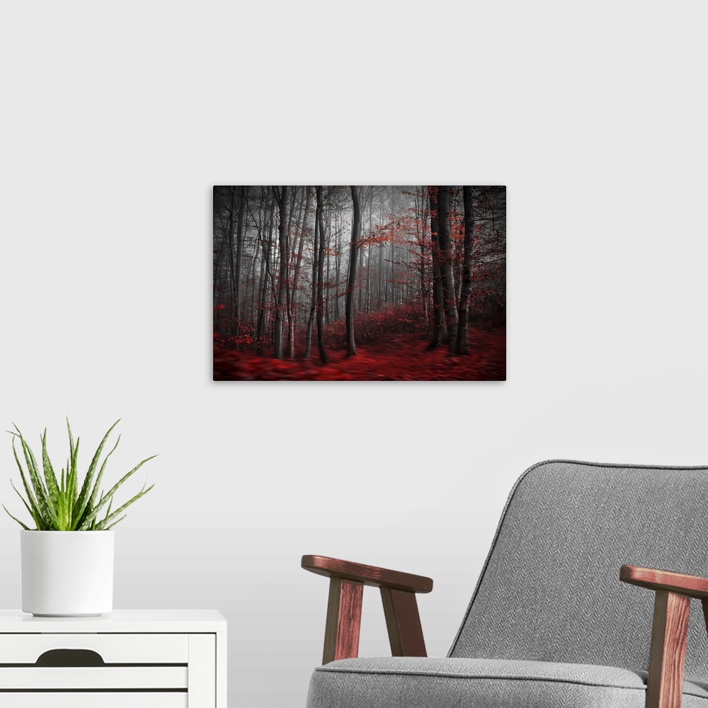 A modern room featuring Blurred motion image of a forest in the fall, with red leaves on the ground resembling a river.