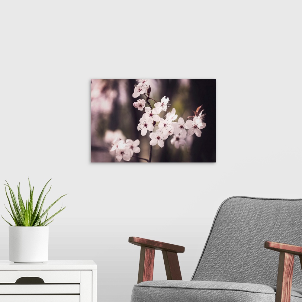 A modern room featuring Blossoms