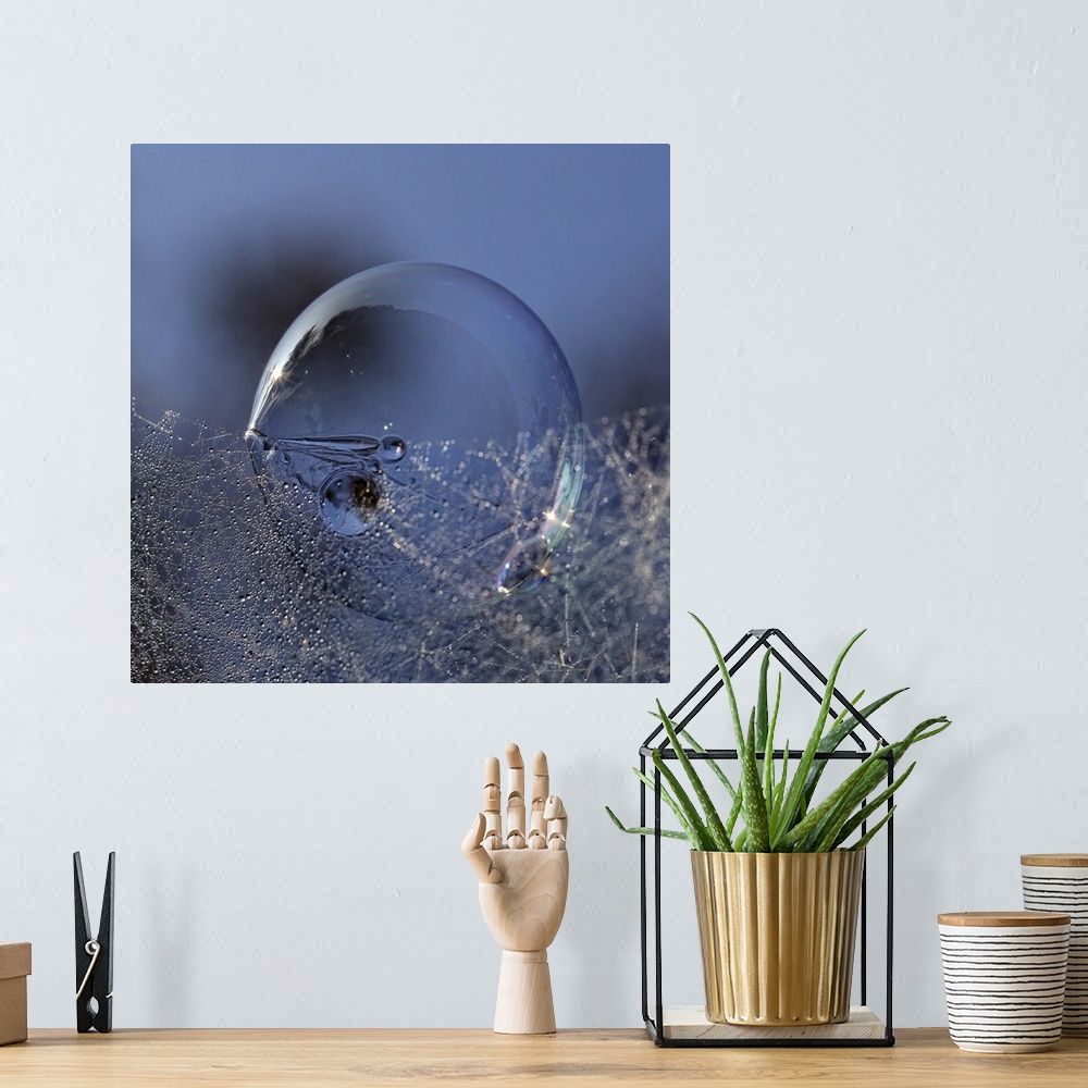 A bohemian room featuring A large soap bubble sits under a web of small dew drops.