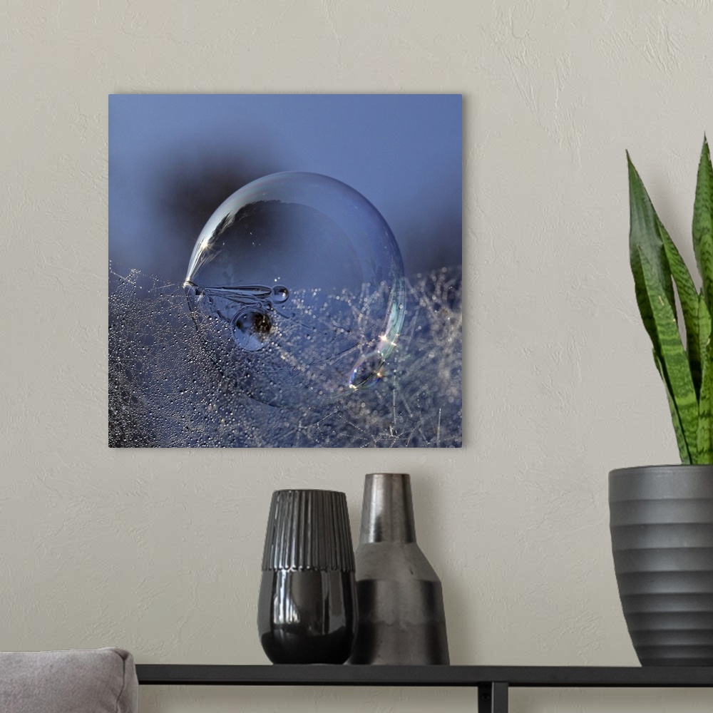 A modern room featuring A large soap bubble sits under a web of small dew drops.
