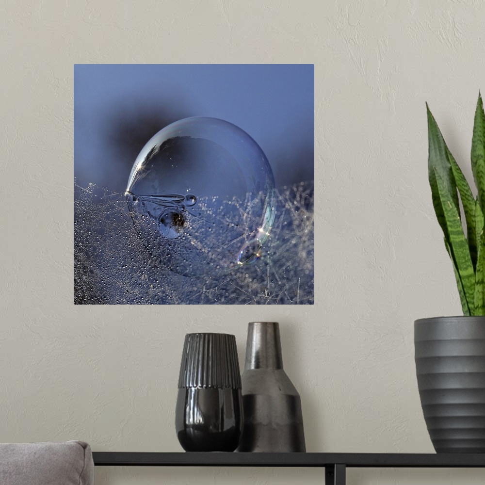 A modern room featuring A large soap bubble sits under a web of small dew drops.
