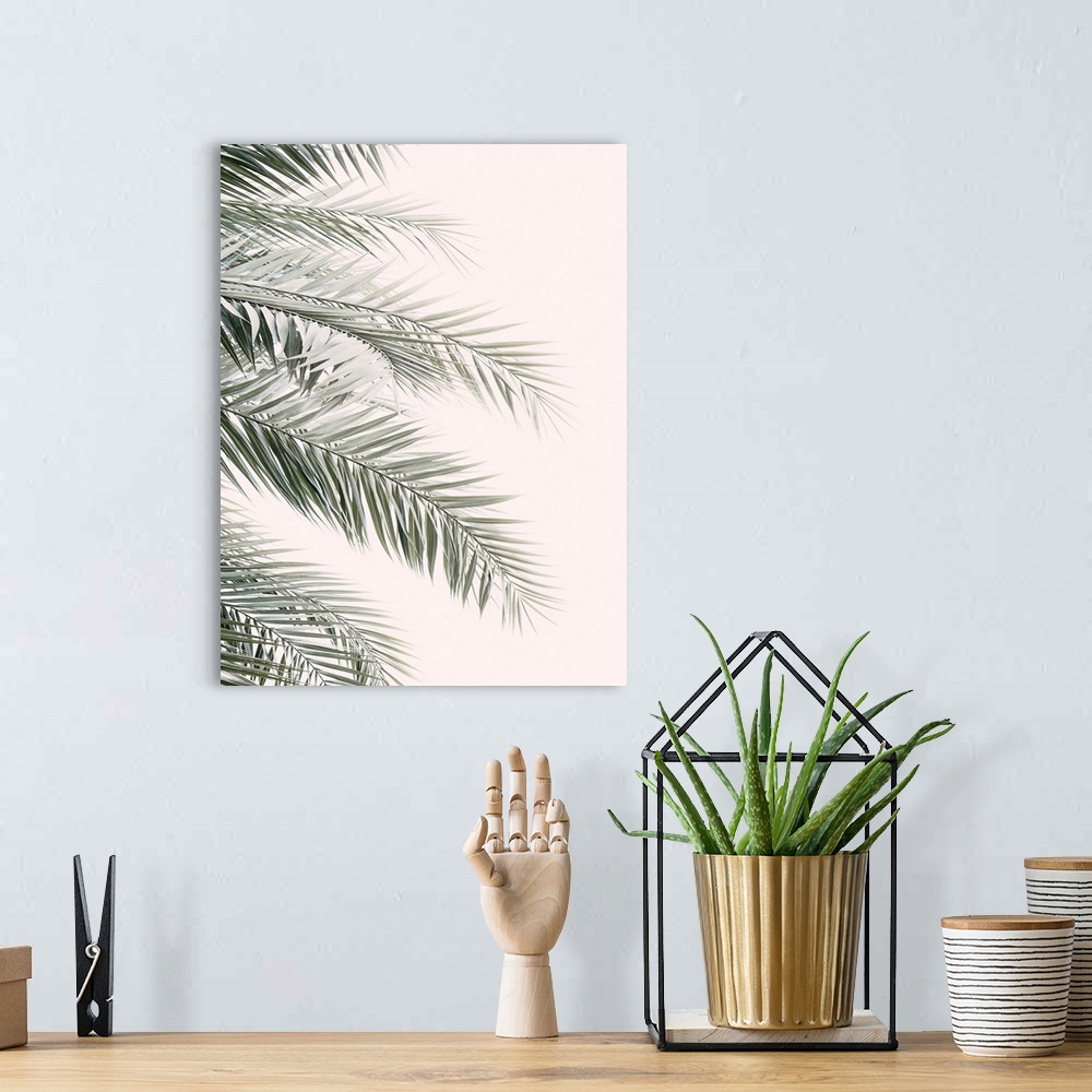A bohemian room featuring Blush Palm Leaves