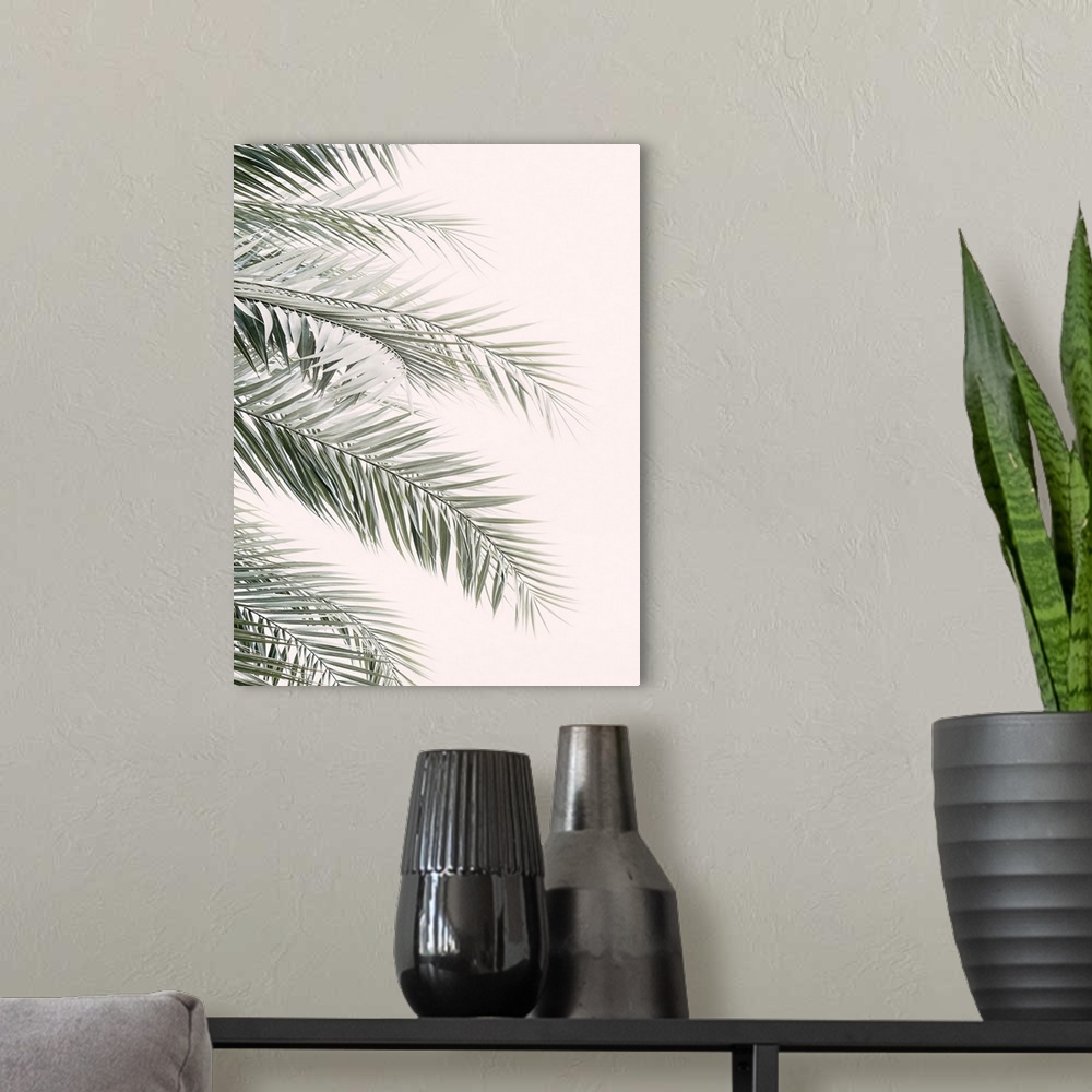 A modern room featuring Blush Palm Leaves