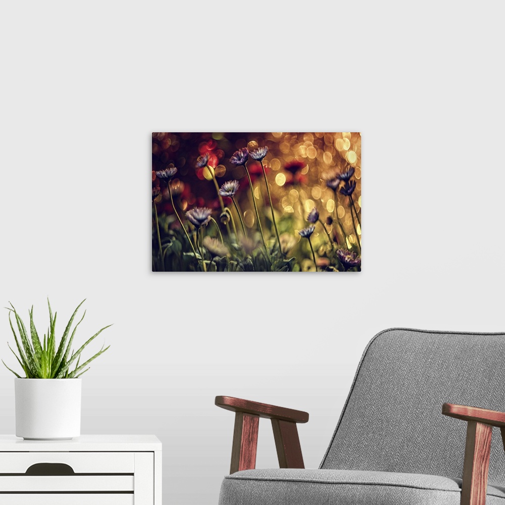 A modern room featuring Group of purple wildflowers in a field with multicolored bokeh lights.