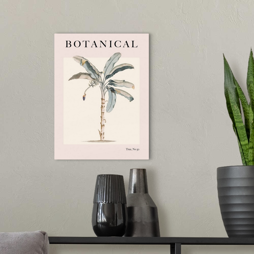 A modern room featuring Botanical Palm