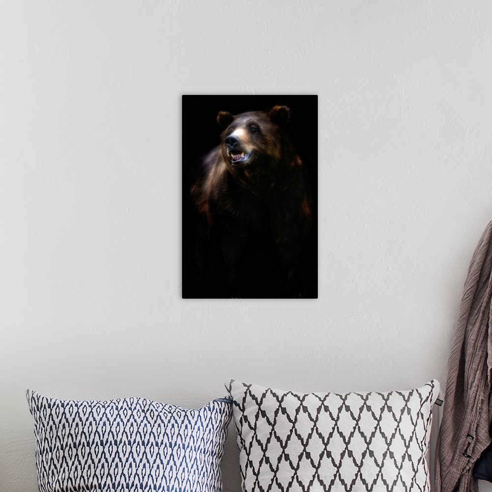 A bohemian room featuring Brown Bear Portrait