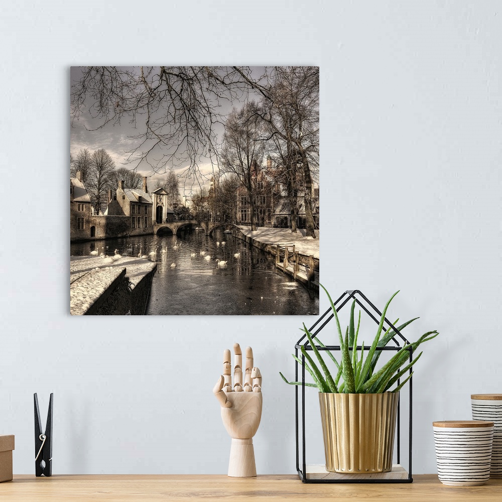 A bohemian room featuring Canal with swans flowing through a snow covered Bruges, Belgium.