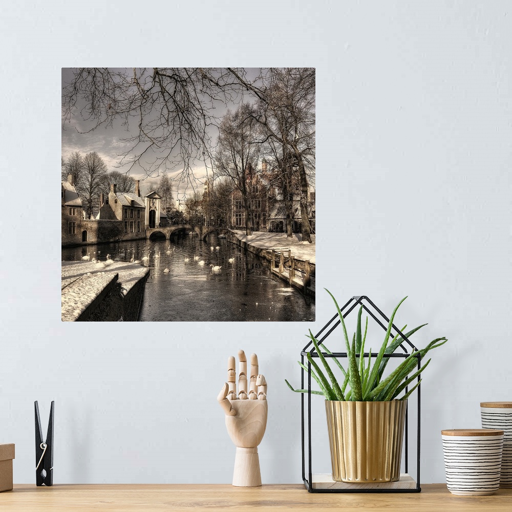 A bohemian room featuring Canal with swans flowing through a snow covered Bruges, Belgium.