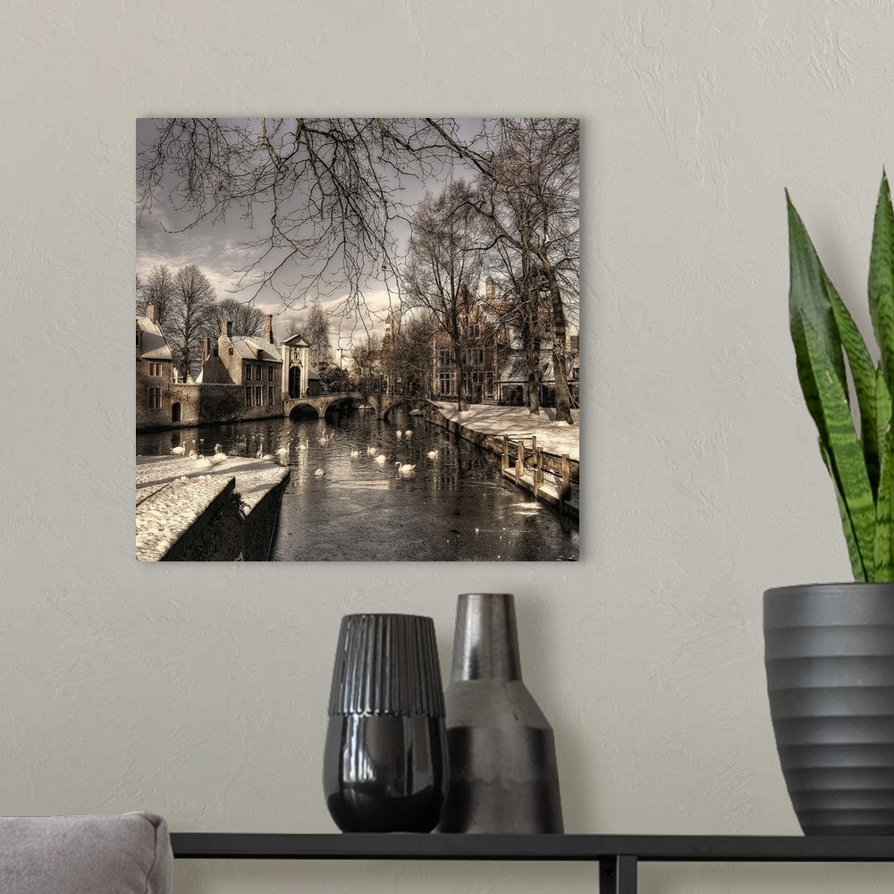 A modern room featuring Canal with swans flowing through a snow covered Bruges, Belgium.