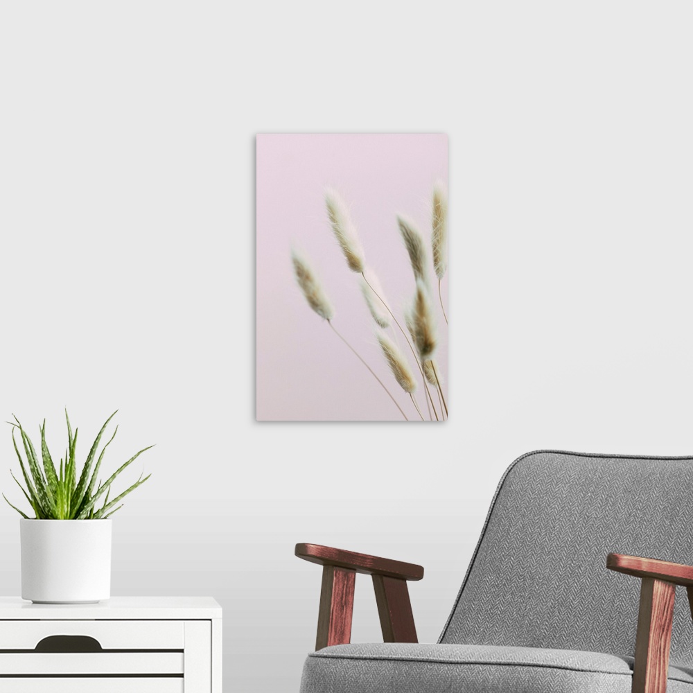 A modern room featuring Bunny Grass Pink 2